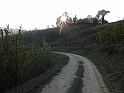 Campagna in autunno 3272
